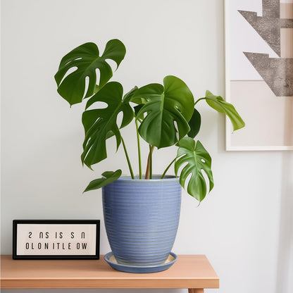EEPFamily 8 Inch Plant Pot- Ceramic Planter for Indoor Outdoor with Drainage Hole and Plant Tray, Modern Round Porch Home Office Garden Living Room Decor, House Warming Gifts, Blue-Purple