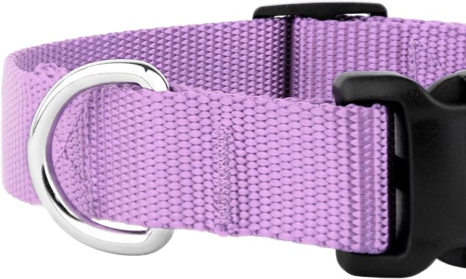 Country Brook Petz - Everyday Nylon Dog Collar and Leash - 10+ Cool Colors (3/4 Inch, Medium, Lavender)