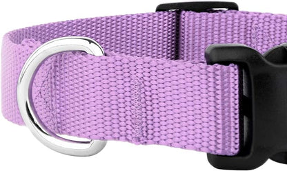 Country Brook Petz - Everyday Nylon Dog Collar and Leash - 10+ Cool Colors (3/4 Inch, Medium, Lavender)