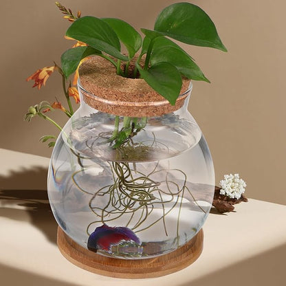 Beavorty Desktop Fish Tank Small Glass Fish Bowl with Cushion 5.51X5.11X1.18In Hydroponic Plant Terrarium Betta Bowl for Home Office Decoration