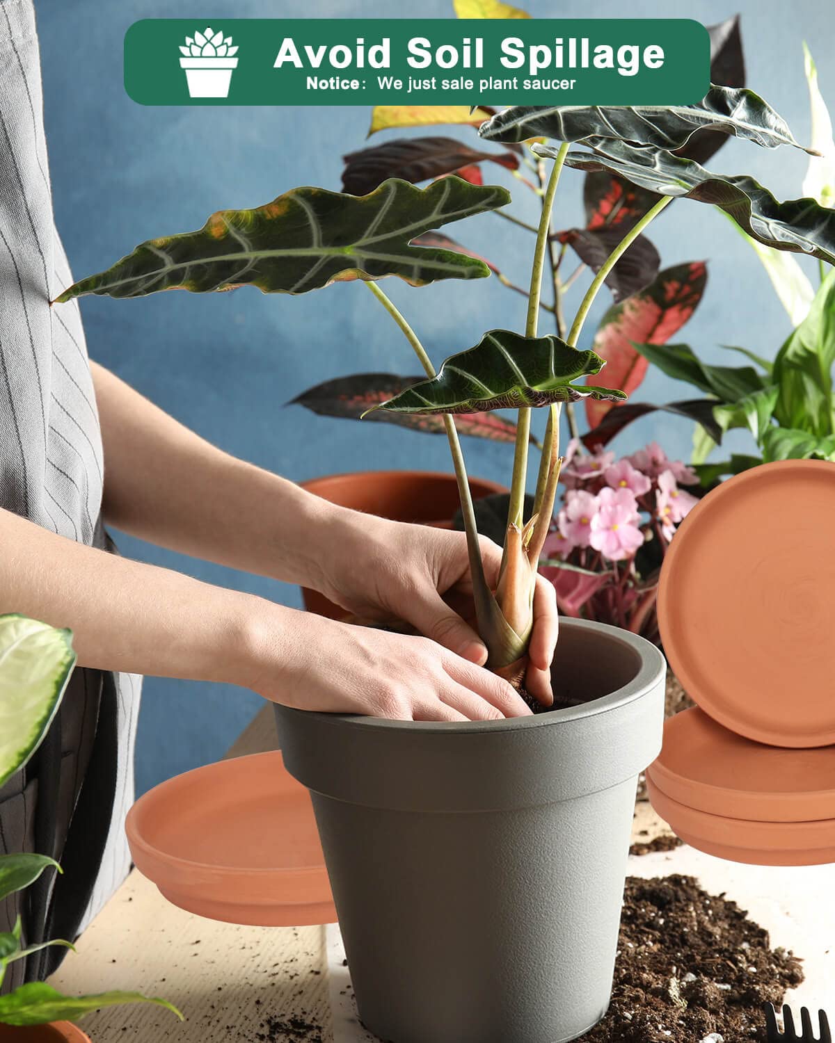 Large Ceramic Plant Saucer and Small Terracotta Pot Plant Saucer - 4 Pcs 7 Inch Black Ceramic Plant Tray and 4 pcs 8 Inch Terracotta Plant Saucer for 4,6,7 Inch Plant Pots with Drainage Hole and Gre
