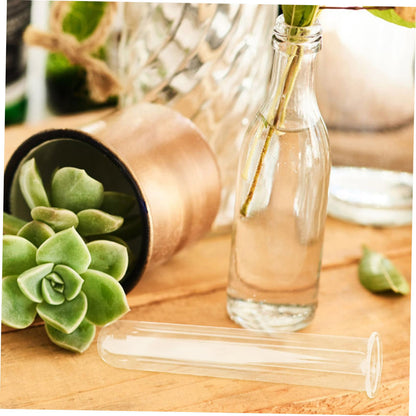 WESIEVYA 5pcs Glass Hydroponic Test Tube Vases 2.5x3x15cm Glass Propagation Tubes for Small Terrarium Plants Office Home Flower Display