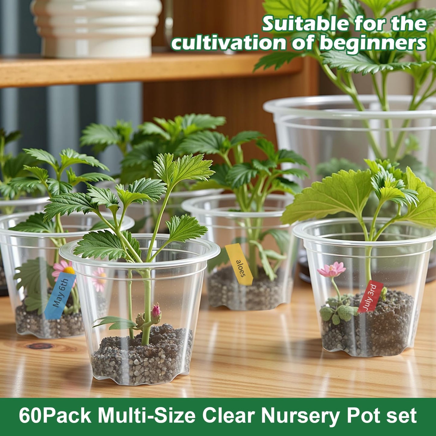 60 Pack Clear Nursery Pots with Drainage Holes, 3.5/4/5/6/7 Inch Clear Plastic Pots for Plants, Reinforced Transparent Nursery Pot with 60 Colorful Plant Labels 2 Garden Tools