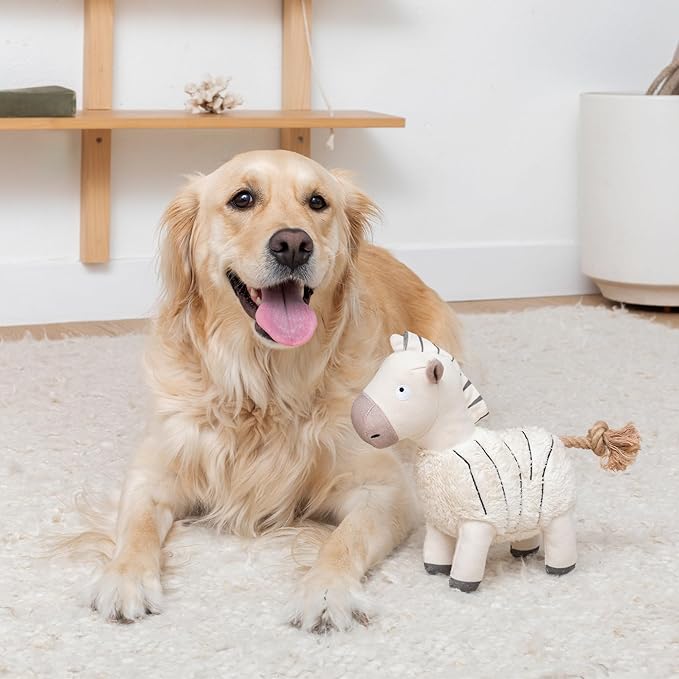 Fringe Studio Earned My Stripes 3D Earth Friendly Dog Toy, PetShop Collection (718011) (Pack of 4)