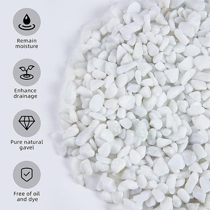 5lb River Rocks Polished Silica Gravel for Plants Garden, Decorative Pebbles Ideal for Fish Tank, Vases, Succulents, Crafting, Home Decor and Garden Landscaping, Snow White(0.2-0.3”)
