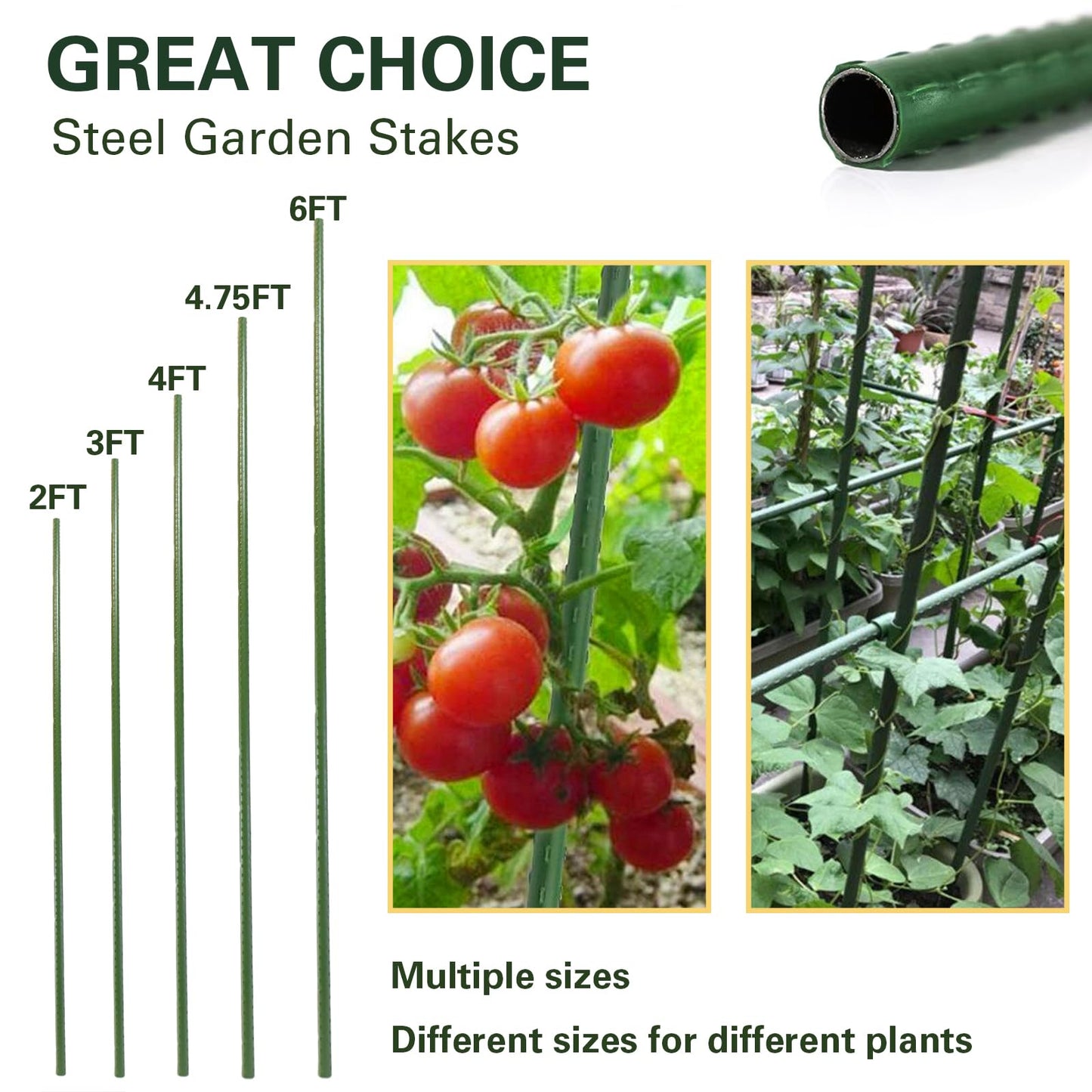 Sprigra Plant Stakes 36 inch, 3ft Steel Garden Stakes 25 Pack, Sturdy Plant Support for Climbing Plants, Tomatoes, Beans, Cucumbers, Peppers, Flowers, Potted, Strengthen and Stem to Grow Better