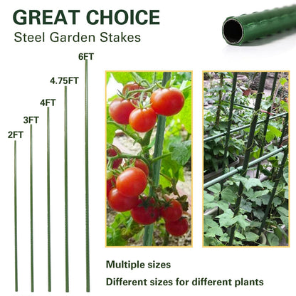 Sprigra Plant Stakes 24 inch, 2ft Steel Garden Stakes 30 Pack, Sturdy Plant Support for Climbing Plants, Tomatoes, Beans, Cucumbers, Peppers, Flowers, Potted, Strengthen and Stem to Grow Better