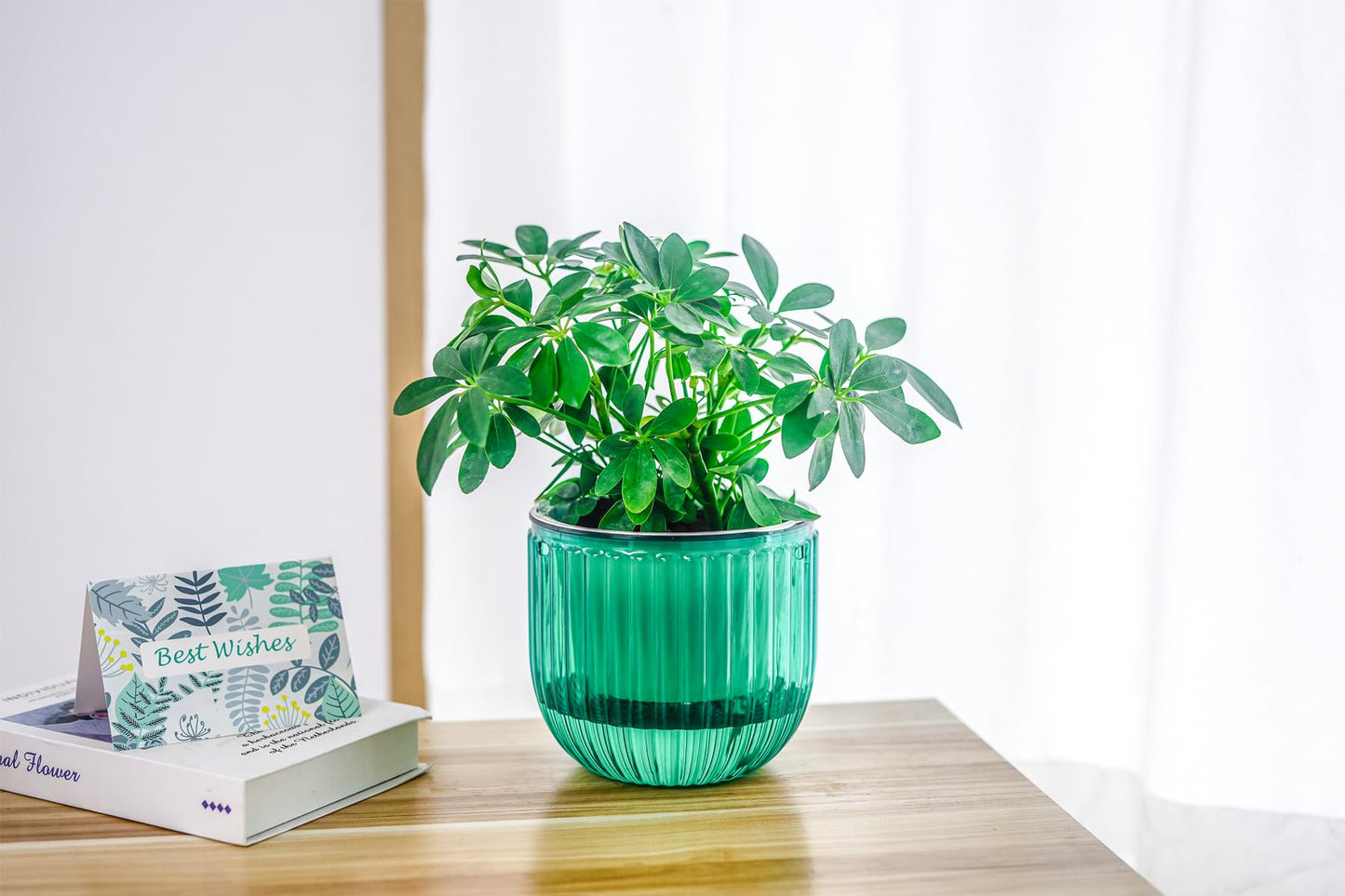 Melphoe Hanging Planters Outdoor and Indoor