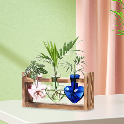 Miaomiaoco Hydroponic Flower Vase Glass Vase Table Centerpiece Plant Propagation Modern Propagating Jar Plant Terrarium for Dining Table, Pink Green (Color)