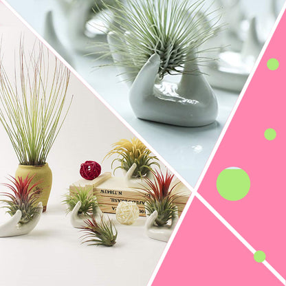 6 Pack Ceramic Air Plant Stand Holder, Hand Shape Tillandsia Airplant Container Pot Tabletop Plant Display Hand Racks for Home Office Decoration Supplies(White)