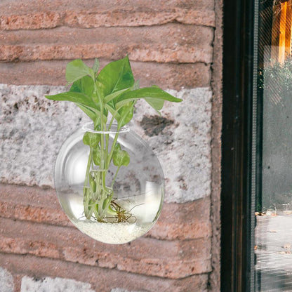 Gatuida Wall Hanging Hydroponic Planter Vase, Glass Wall Terrarium for Indoor Plants, Decorative Flat Glass Vase for Home Décor, 1pcs