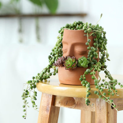 Maveite Terra Cotta Face Succulent Pots Planter Clay Pot Pretty Tribe Face Planter Holder Indoor Flower Pot Crafts Breathing Terracotta Planter DIY Decorative Beautiful Home Housewarming Gift