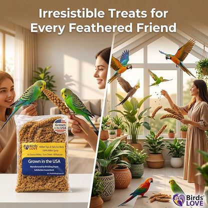 1lb Millet Tips & Tails for Birds - Parakeets, Cockatiels, Lovebirds, Finches, Budgies, Canaries, Cockatoos - Natural & Healthy Millet for Birds - Parakeet Food & Treats for All Parrots (2 Pack)