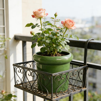 DJMKLCZTTKX Ceramic Flowerpot with Tray,Dark Green Home Decor Planters for Bedroom Balcony and Office,Ceramic Pots for Plants and Perennial Flowers for Housewarming
