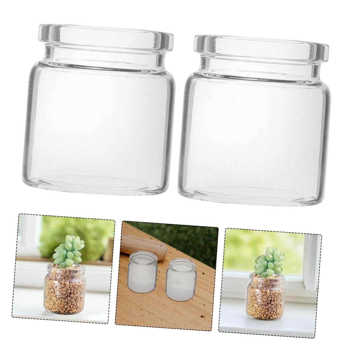Mipcase 10pcs Mini Glass Bottles Succulent Landscape Decor Test Tube Vases Micro Terrariums for Plant Propagation