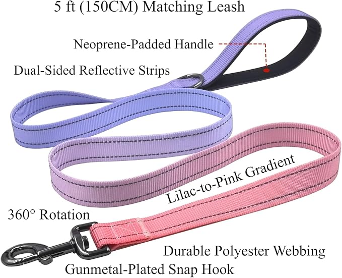 Dog Collar Leash Set, Gradient Color, with Safety Reflective Strips, 5 ft Matching Leash, Neoprene Padded Handle, Adjustable 4 Sizes for Small Medium Large Dogs.(XS, Lilac Pink)