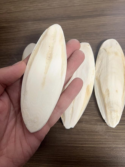 AWXZOM 4 pcs Cuttlebone for Birds Tortoises Turtles Snails Cockatiels Parakeets Budgies Reptiles Fish Small Animals (4.5-5.5inch/12-14cm)