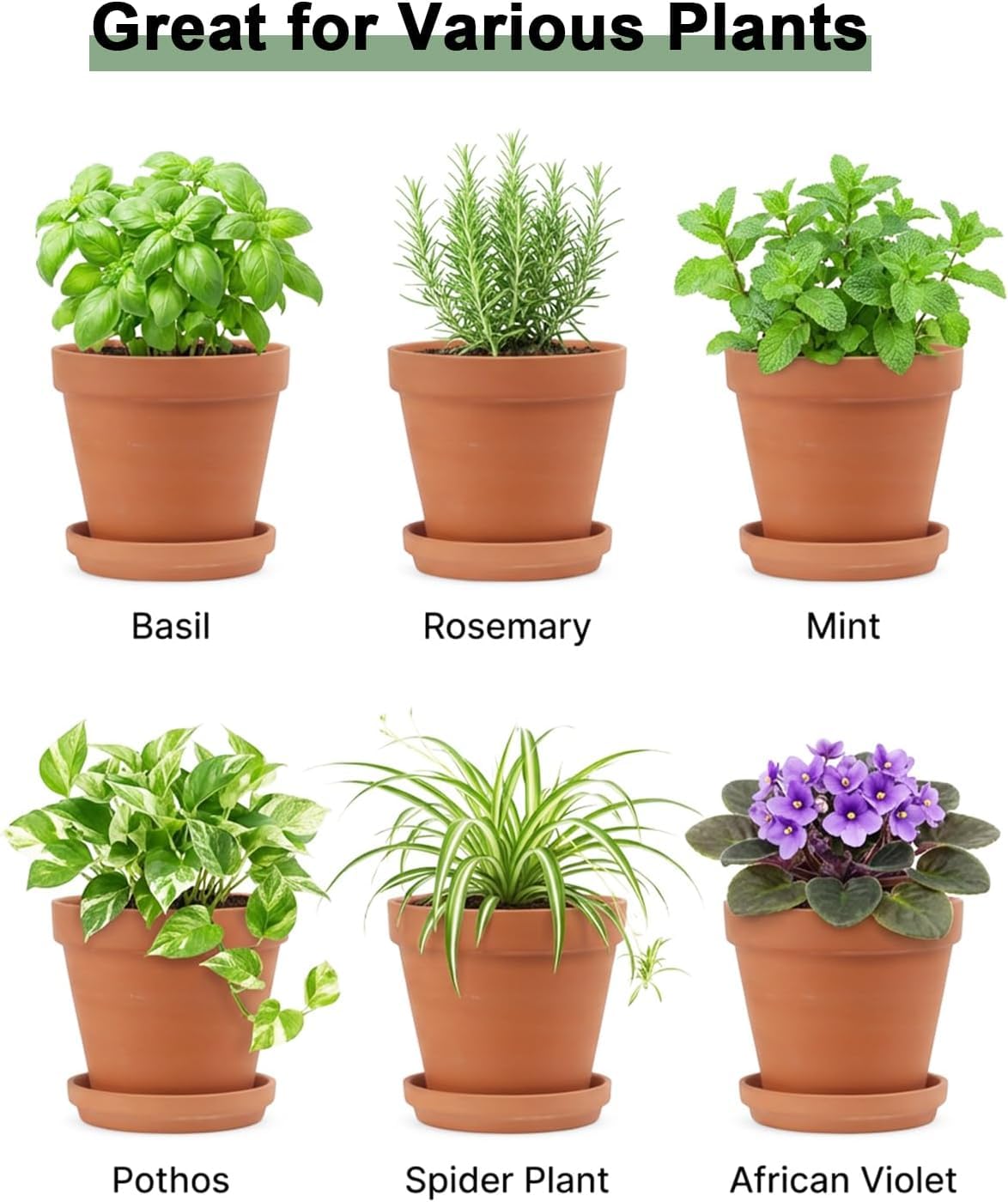 Riseuvo 5 Inch Terra Cotta Pots with Saucer - 6 Pack Clay Flower Pots with Drainage, Great for Plants, Crafts, Wedding Favor (5 inch)