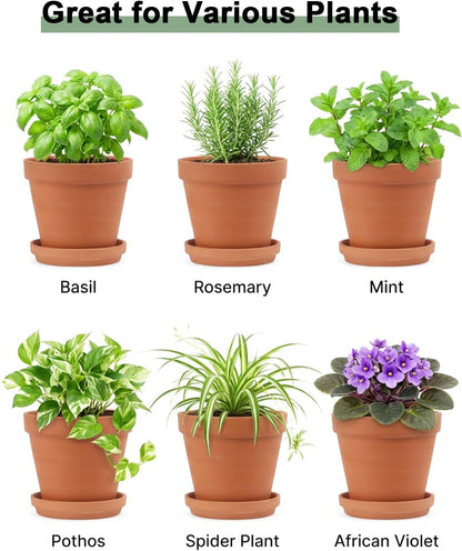 Riseuvo 5 Inch Terra Cotta Pots with Saucer - 6 Pack Clay Flower Pots with Drainage, Great for Plants, Crafts, Wedding Favor (5 inch)