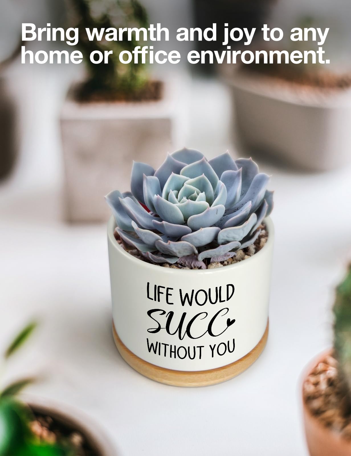 Cgvovgr Funny Life Would SUCC Without You Ceramic Succulent Planter Cactus Pots, Office Windowsill Decor Indoor, Succulent Pots for Women Plant Lovers, 3.5 inch (Plant Not Included)