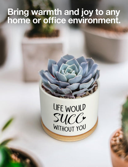 Cgvovgr Funny Life Would SUCC Without You Ceramic Succulent Planter Cactus Pots, Office Windowsill Decor Indoor, Succulent Pots for Women Plant Lovers, 3.5 inch (Plant Not Included)