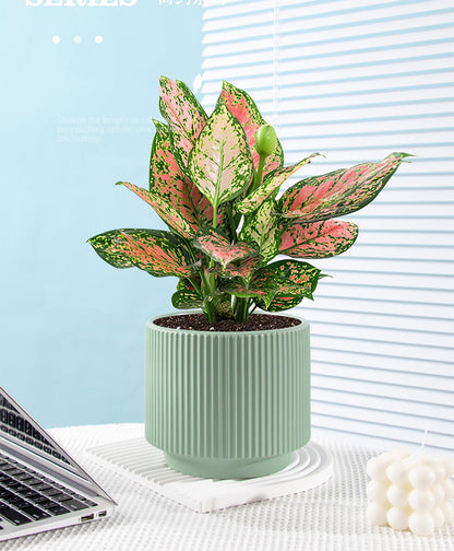Puoyikt Ceramic 4.9+6.3 inch Planters, Modern Home and Office Flowerpot, Indoor and Outdoor Flowerpot with Drainage Hole (Green)