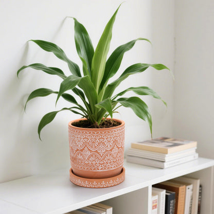 Suwimut Set of 2 Terracotta Plant Pots 4 Inch 6 Inch, Small Medium Clay Planter Pot, Ceramic Cactus Flower Succulent Pot with Drainage Hole and Saucer for Indoor Outdoor Plants