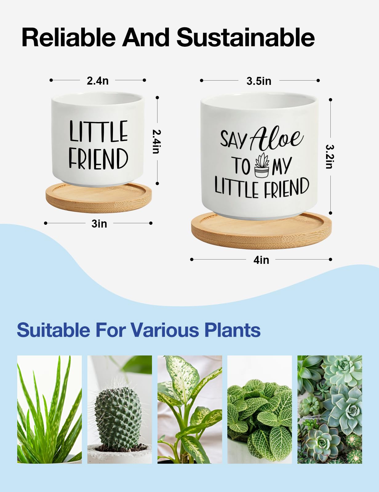 Cgvovgr Say Aloe to My Little Friend Small Planter Pot, Funny Succulent Planter Pots Set of 2, Windowsill Decor Indoor, Small Succulent Pots for Women Plant Lovers, 3.5 inch (Plant Not Included)