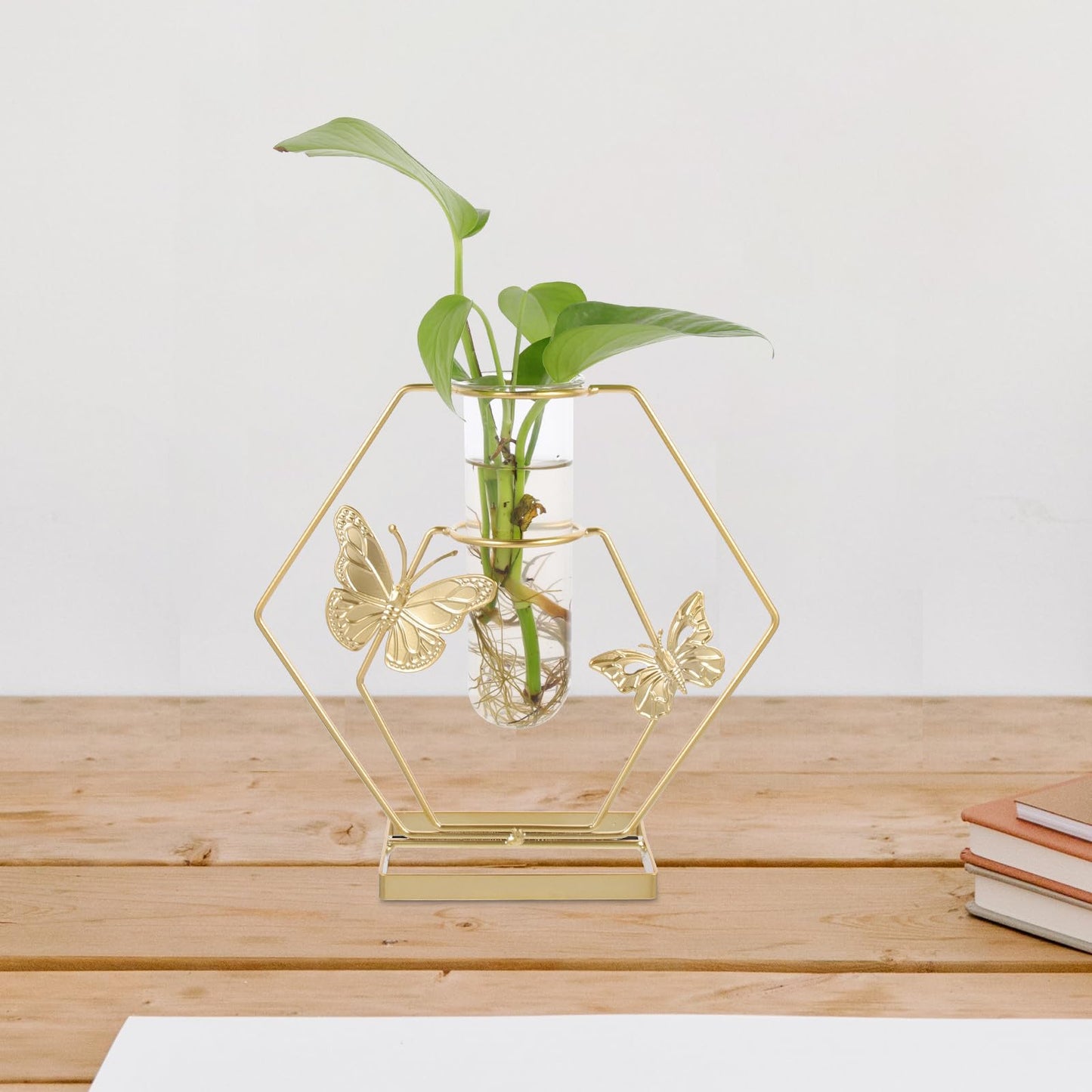 OSALADI Metal Framed Glass Plant Terrarium Vase with Butterfly Pattern, Hexagonal Decorative Flower Holder for Desktop Home Décor and Tabletop Display