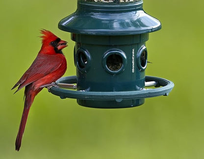Squirrel Buster Plus Squirrel-proof Bird Feeder w/Cardinal Ring and 6 Feeding Ports, 5.1-pound Seed Capacity, Adjustable, Pole-mountable (POLE ADAPTOR SOLD SEPARATELY), Green