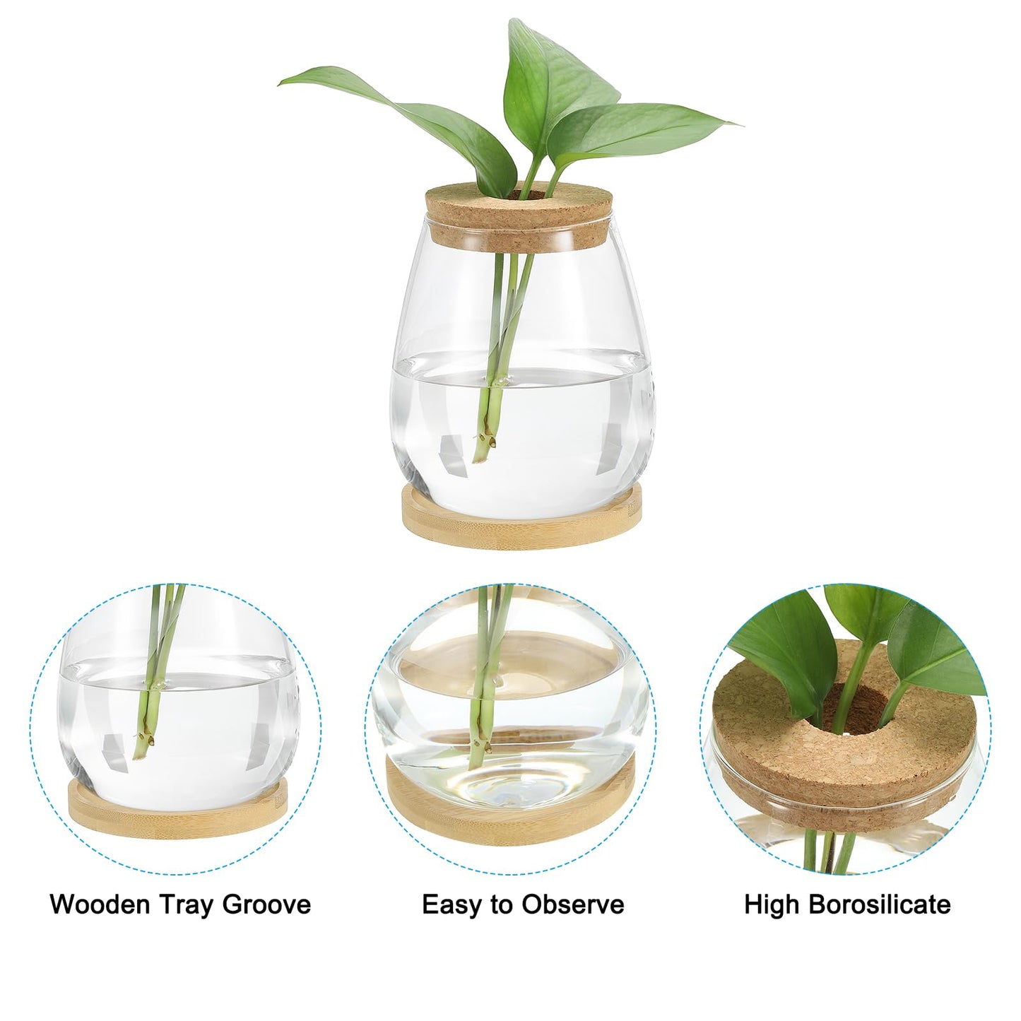 PATIKIL Plant Propagation Station Glass Vases, 2 Pack Desktop Round Planter Terrarium Vase with Wooden Tray & Lid for Hydroponic Office Home Decor Plants Indoor, Brown
