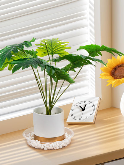 GROWNEER 15 Pack of 6, 8, 10 Inches Clear Plant Saucers Flower Pot Trays, with 15 Pcs Plant Labels, Plastic Plant Drip Trays for Indoor Outdoor Plants Garden, 5pcs of Each Size