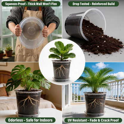 BTPLASTIK 1 Gallon Clear Nursery Pots with Saucers 10P, 6.5 Inch Round Plastic Plant Pots with Drainage Holes