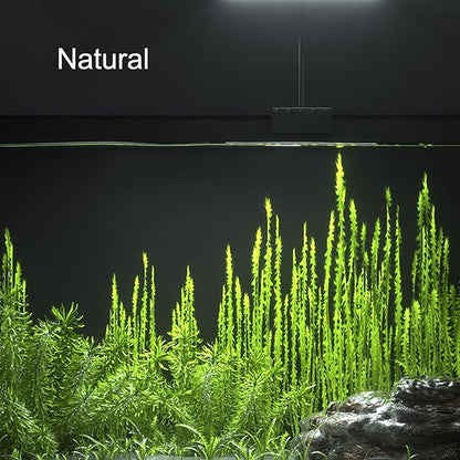 Carefree Fish Aquarium LED Light USB 5V1A RGBW 5730 Timmer 5~20Gal Fish Tank Clip Light 10 Brightness Levels 13W with USB Port (Include UL Certification Power Adapter)