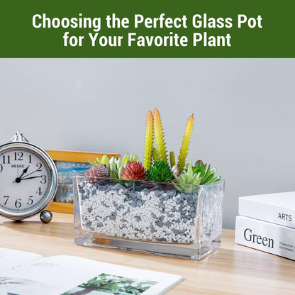 MyGift 7.8 inch Modern Rectangular Glass Vase, Trough Planter, Tabletop Glass Terrarium