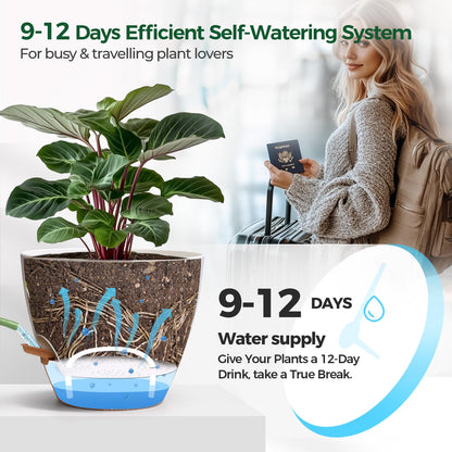 T4U 5 Pack Self Watering Pots (6"+8"+9"+10"+12") - Water Level Indicator & Deep Reservoir, Mess-Free Planters for Busy People, Beginners & Gardeners, Fit Most Plants, Indoor Outdoor Use (White)