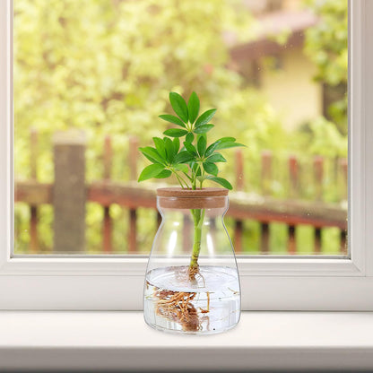 CONGARTENO Glass Flower Vase Hydroponic Succulent Planter Large Trapezoid Glass Vase with Wooden Stopper 3cm Hole for Indoor Plant Terrarium and Floral Arrangement