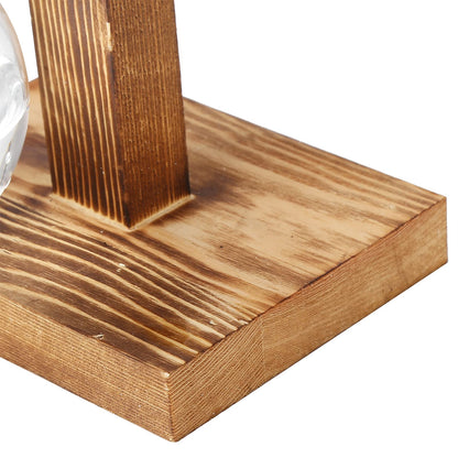 Glass Planter Bulb Vase, Innovative Hydroponic Vase Desktop Plant Terrarium Kit with Wooden Stand Transparent Desktop Flower Vase for Home