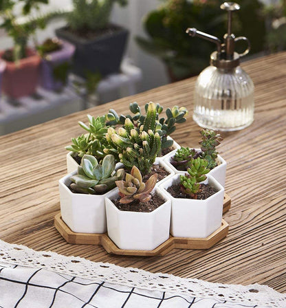 FLOWERPLUS Planter Pots Indoor, 7 Pack 2.75 Inch Modern White Ceramic Small Hex Succulent Cactus Flower Plant Pot with Bamboo Tray for Indoors Outdoor Office Home Garden Kitchen Decor (Hexagon)