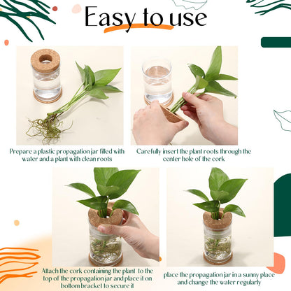 Baderke 24 Packs Plastic Desktop Plant Terrariums Propagation Planter Tabletop Planting Vase with Lid and Cork Plant Coasters for Growing Hydroponic Home Office Table Decoration(Classic Style)
