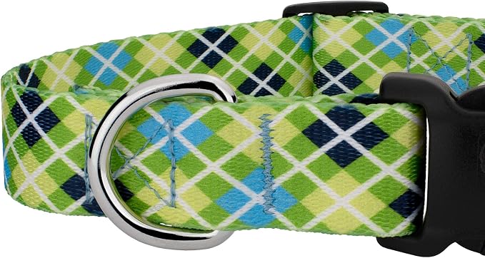 Country Brook Petz - Margarita Argyle Everyday Collar and Leash - Plaid and Argyle Collection Featuring Charming Designs (1/2 Inch, Extra Small)