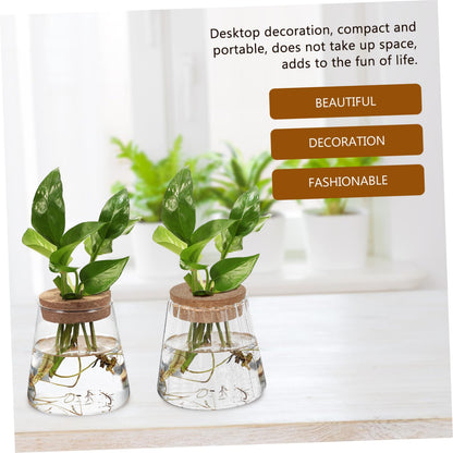 ibasenice 3Pcs Glass Hydroponic Plant Vases Compact Indoor Gardening Terrarium for Avocado Propagation Modern Desktop Decoration for Home Office Versatile Plant Propagation Jars