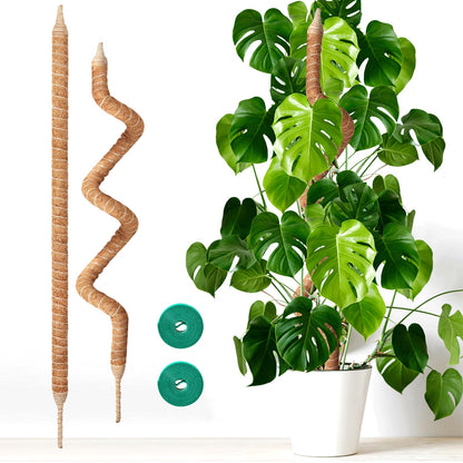 Vanut 2-Pack 60in Large Moss Pole for Monstera, Bendable & Sturdy Pothos Plant Climber Support, Philodendron, Fishbone Cactus & Indoor Tropical Houseplants, Made for Coco Coir