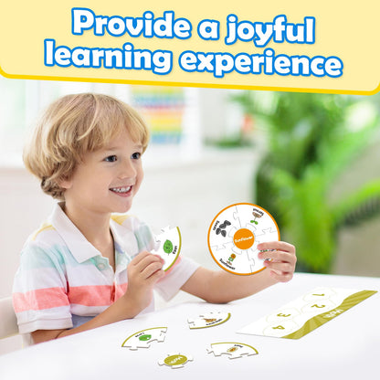 Edulok Life Cycle Toys for Kids, Toddler Puzzles, Preschool Science Kits for Kids 3-5, Kindergarten Learning Activities, Learning Education Toys, PreK Classroom Essentials, Homeschool Supplies