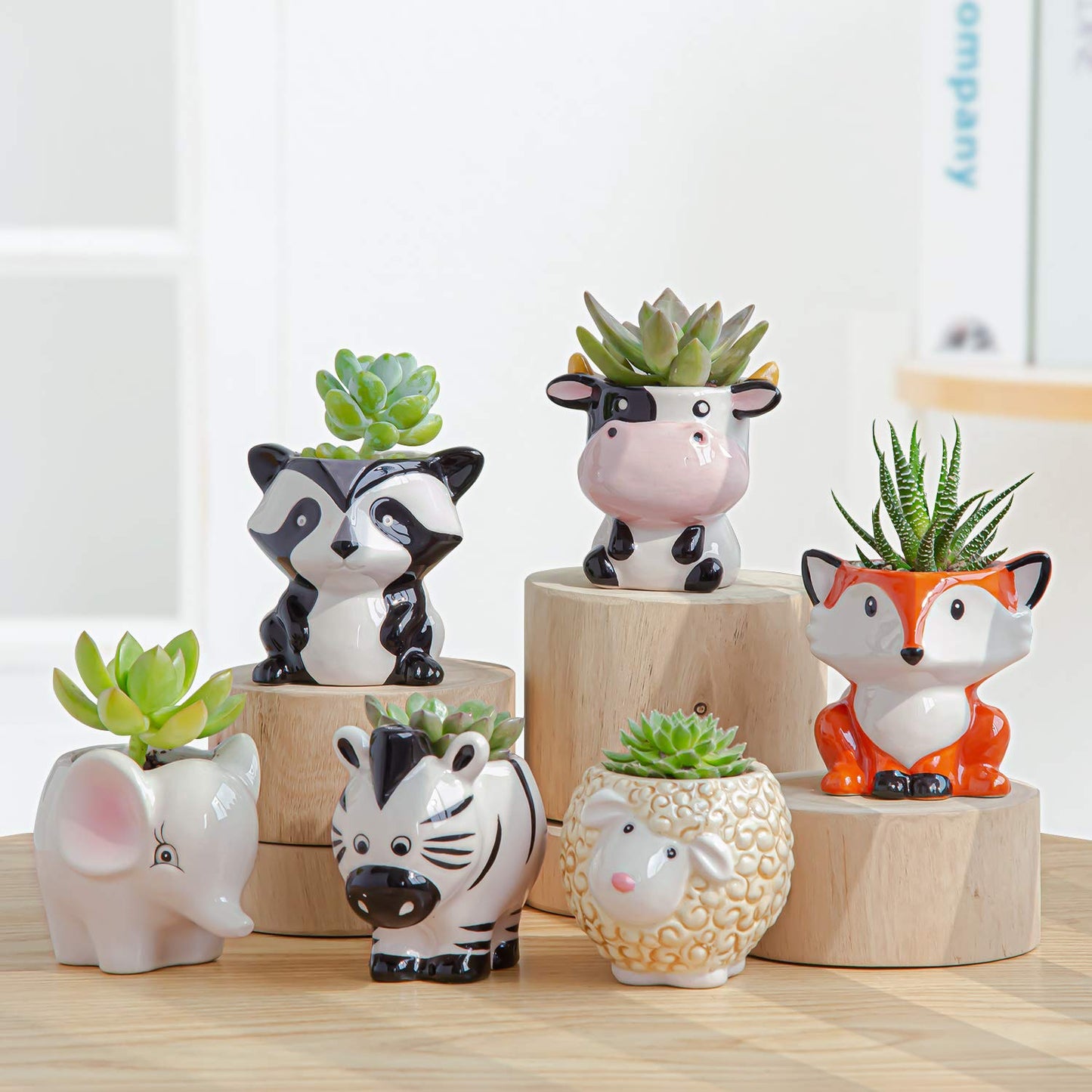 YINUOWEI Cute Succulent Planter, Succulent Pots with Drainage Hole Flower Plant Pot Cartoon Ceramic Tiny Pot for Indoor Mini Flower Planters Cactus Container Set of 6