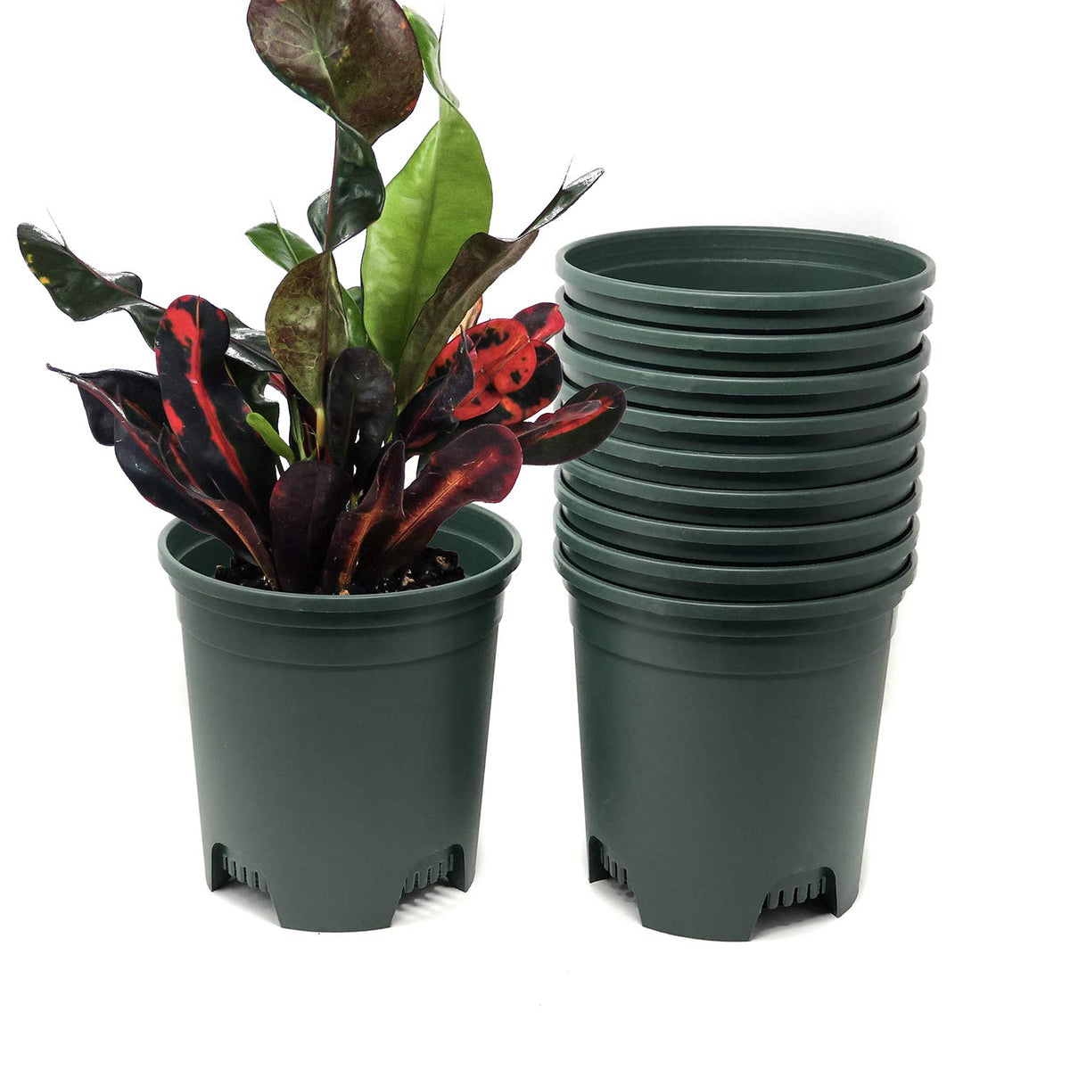 1.5 Gallon Green Nursery Pot Plastic Planters for Outdoor Indoor Plants Gardening Flower Pots 10-Pack 7.5 in Pot Liners with Drainage Holes
