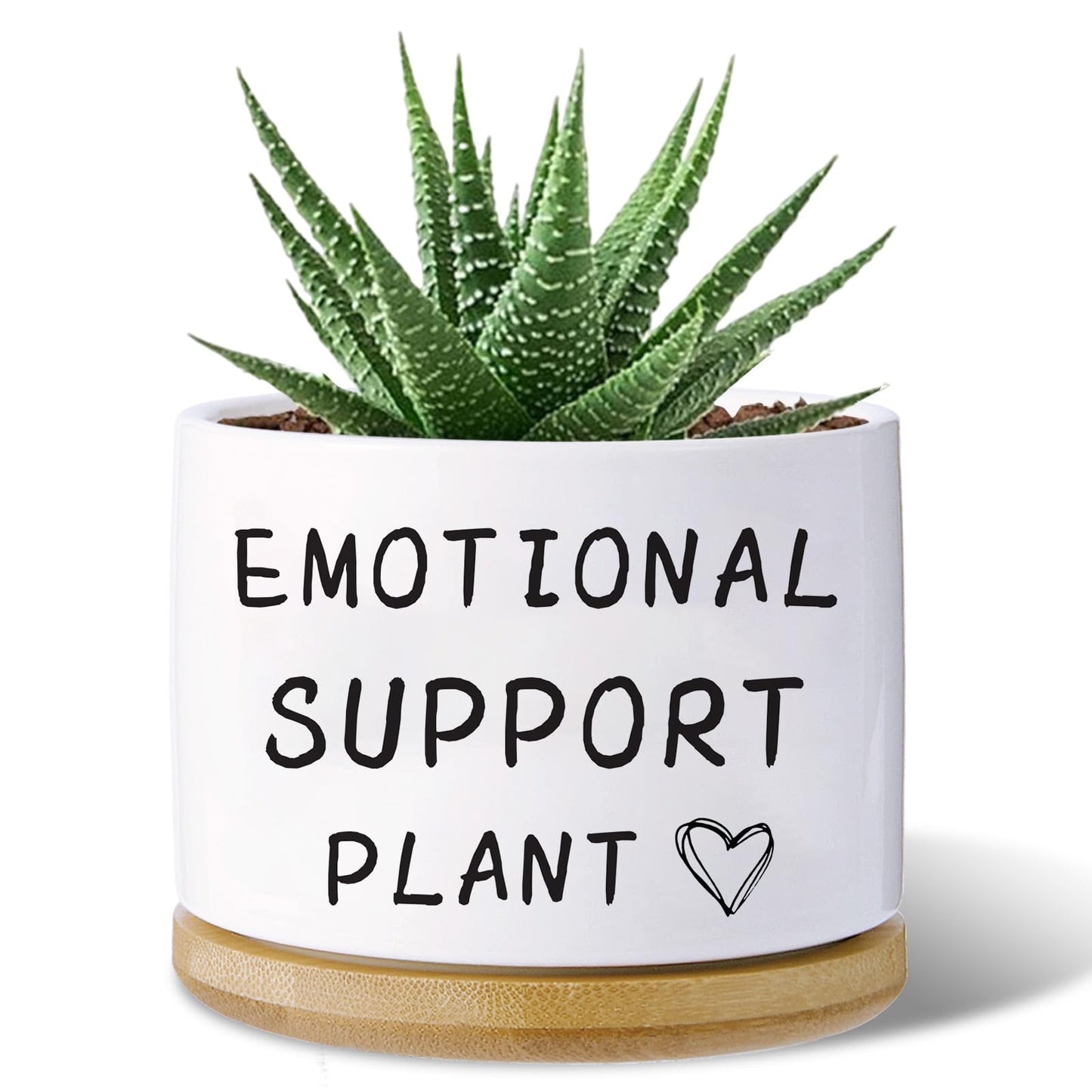 Haooxinwei Funny planters for Indoor Plants, for Planter Lover,Indoor Plants Garden Planters Succulent Pots, with Drainage Holes and Saucer(No Plants) (Emotional Support Plant)