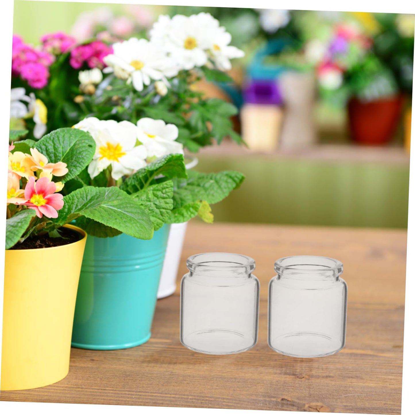 Toyvian 10pcs Elegant Miniature Glass Succulent Vases for Air Plants Display Micro Landscape Bottle Plant Propagation Jars