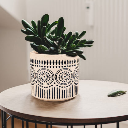Chonsun Ceramic Planter 4 Inch Plant Pots Indoor Outdoor Succulent Plant Pot Flower Pots Mid-Century Planter Ceramic Pot