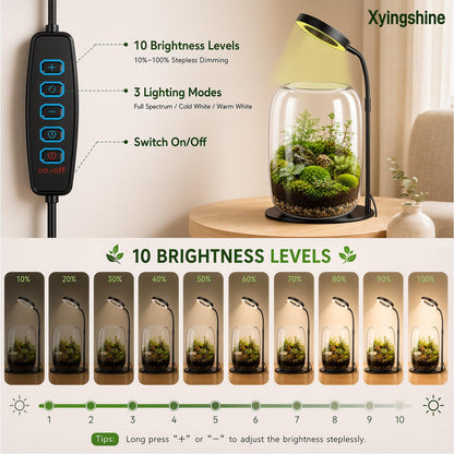 5X Aperture Glass Terrarium Grow Light with Full Spectrum LED for Indoor Plants, Mini Desk Plant Growing Lamp for Succulents & Moss, 3 Modes, 10 Brightness Levels, Height Adjustable